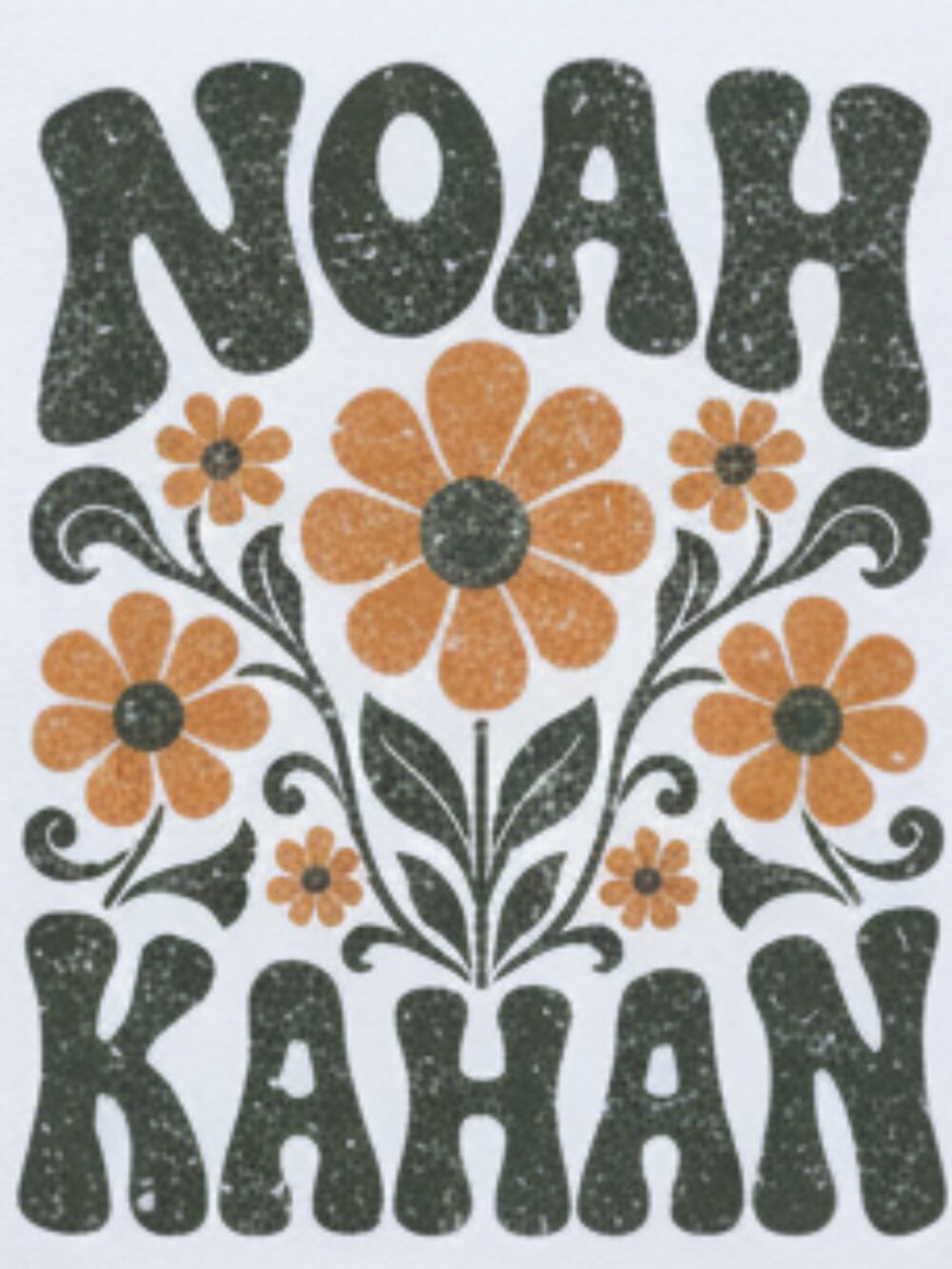 Noah Kahan Indie Folk Retro Floral Daisy Graphic White T-Shirt - Picture 3 of 5